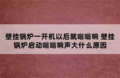 壁挂锅炉一开机以后就嗡嗡响 壁挂锅炉启动嗡嗡响声大什么原因